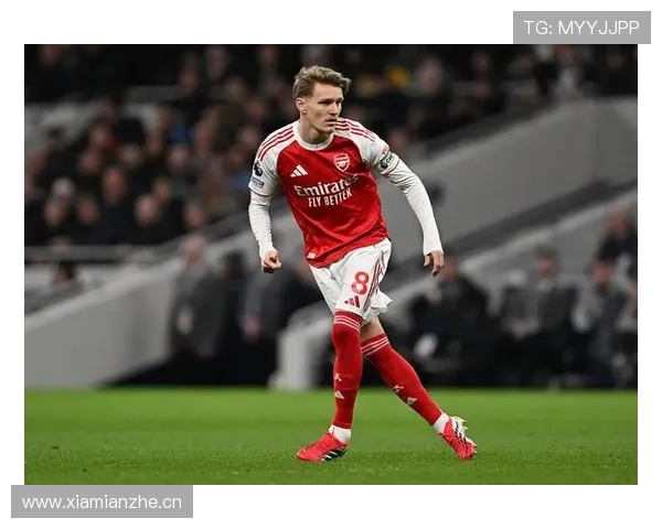 厄德高国家队组织核心作用与比赛掌控力分析